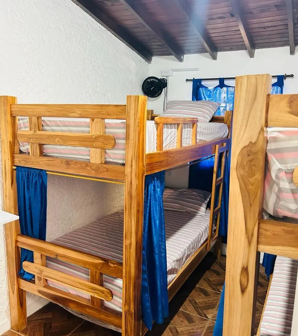 Blue Coast Hostal 麦德林 招待所