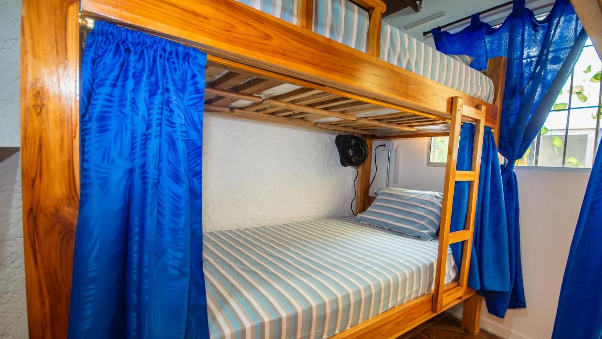 Blue Coast Hostal Medellin Colombia