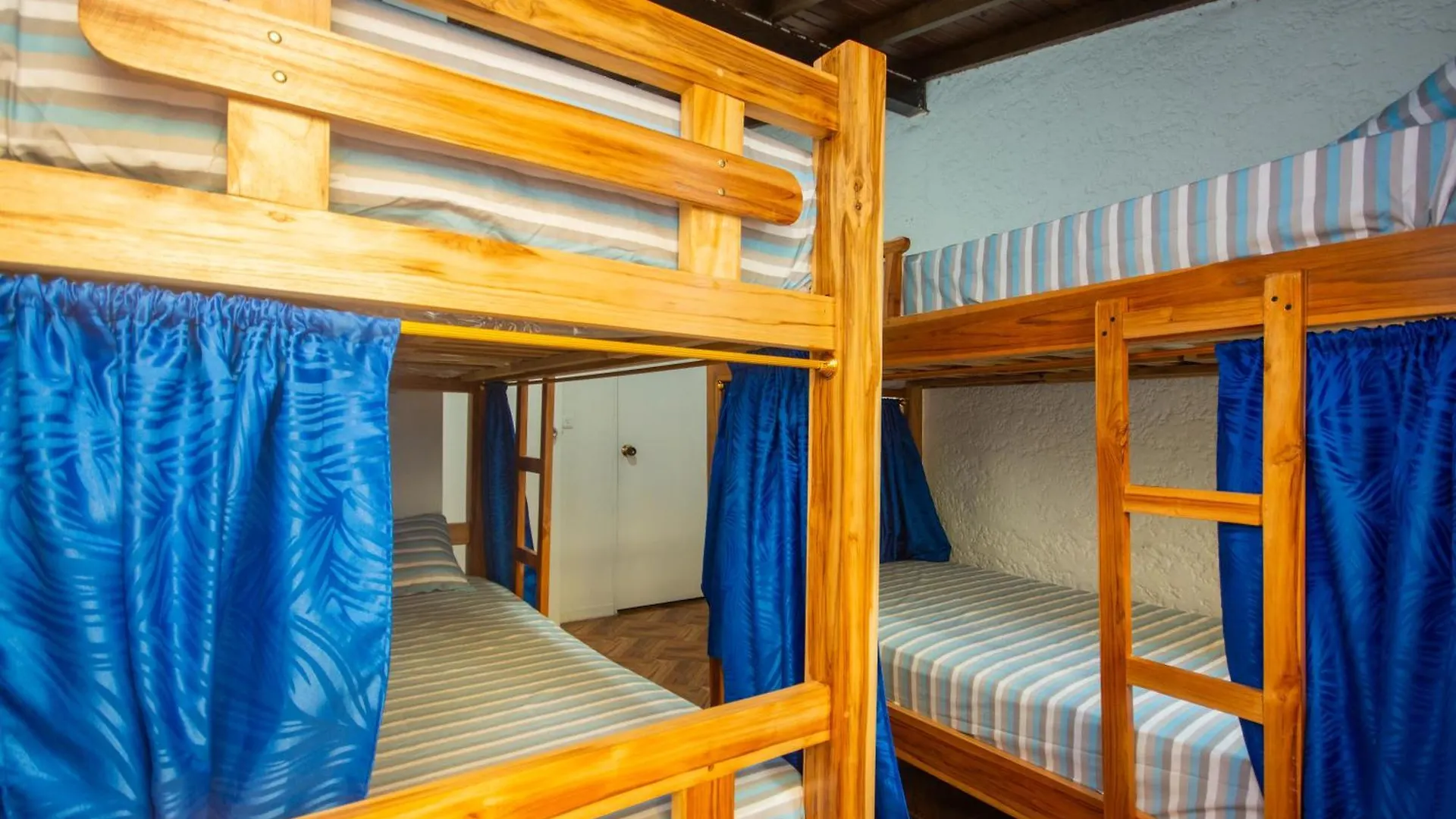 Blue Coast Hostal Medellin 0*,  Colombia