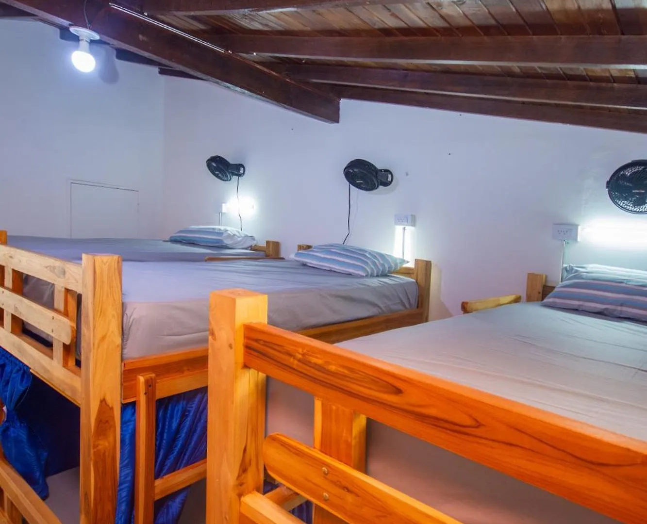 Blue Coast Hostal Medellin Guest house