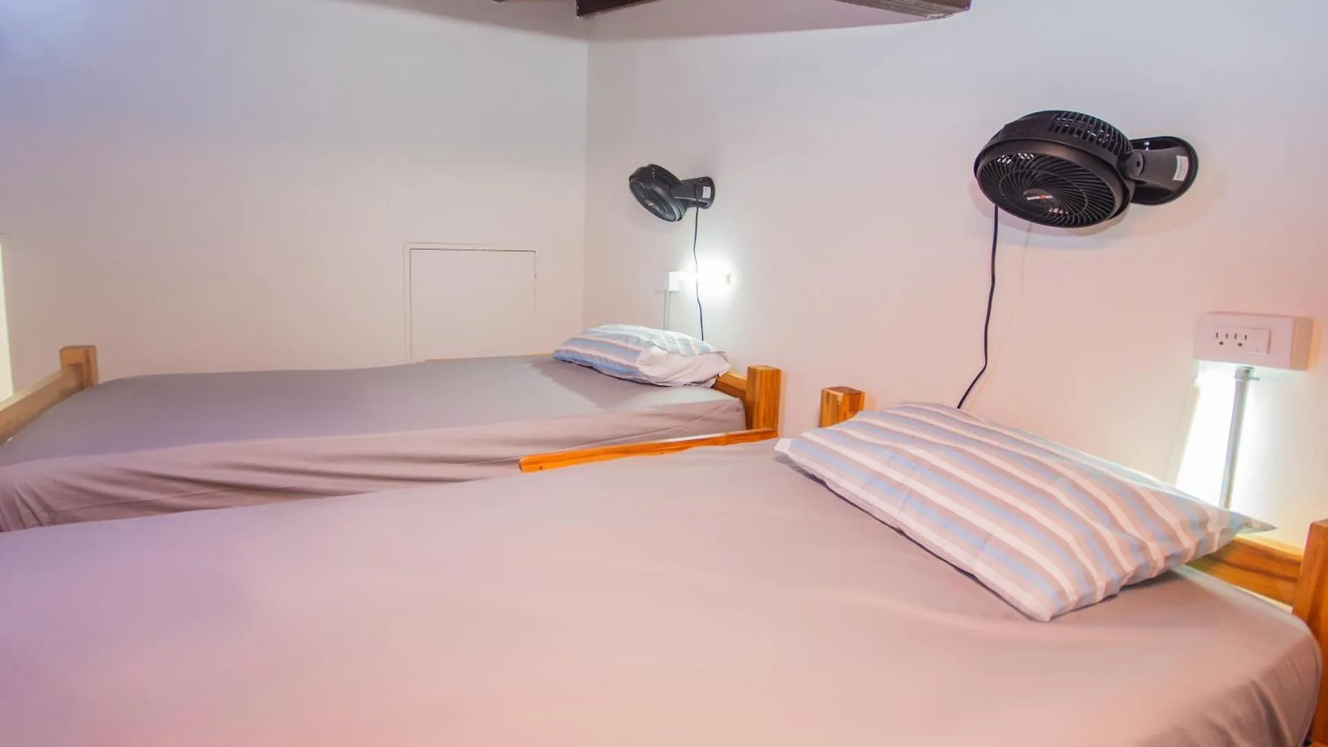 Blue Coast Hostal Медельин Гостевой дом