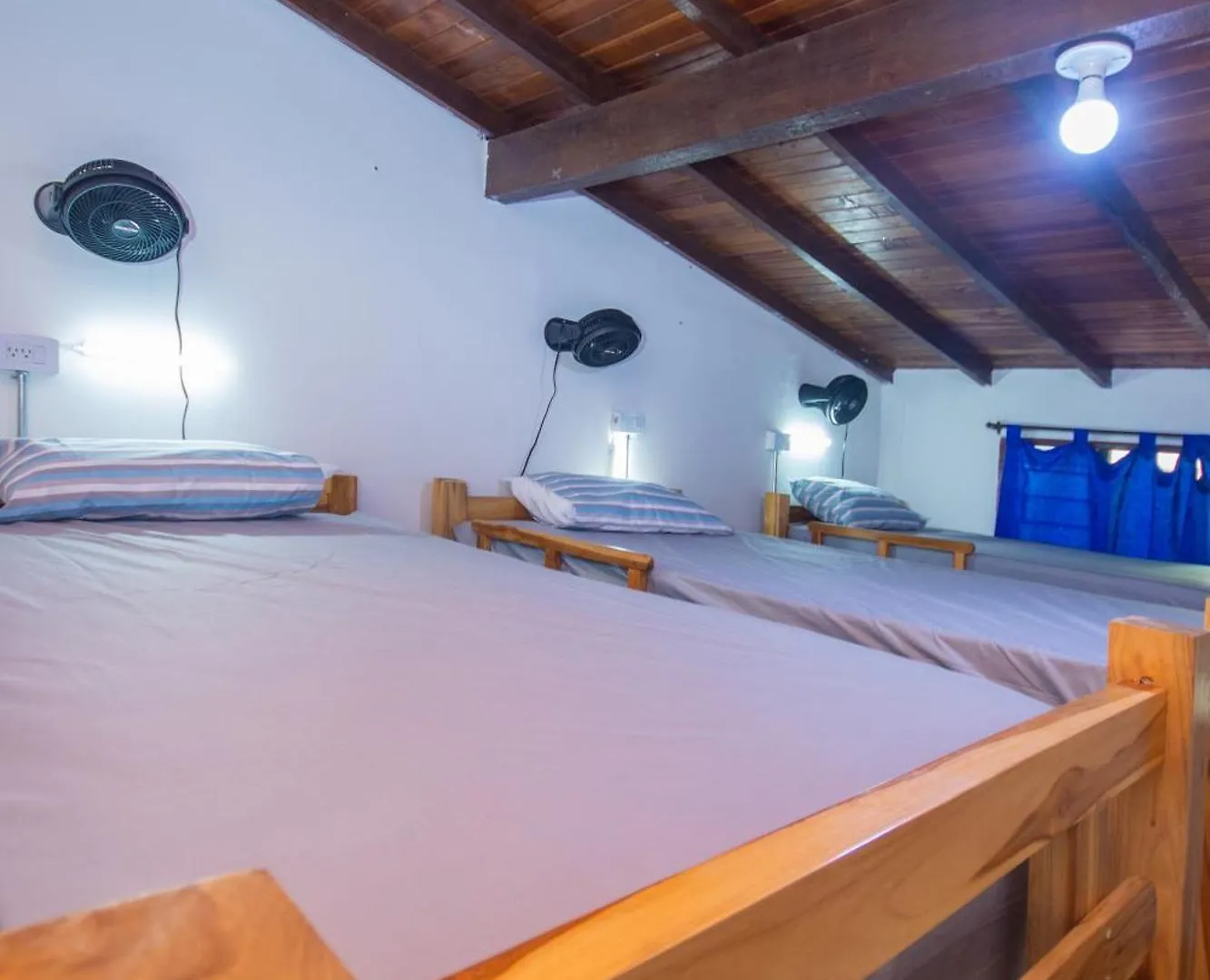 Blue Coast Hostal Medellin